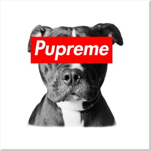 Pupreme Terrier Posters and Art